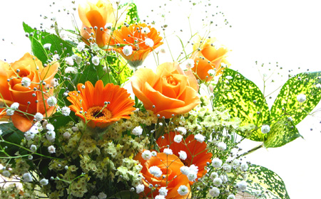 バラとガーベラの花束