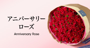 アニバーサリーローズ Anniversary Rose