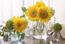 画像3 / 太陽の花、ひまわりをお部屋に飾ろう