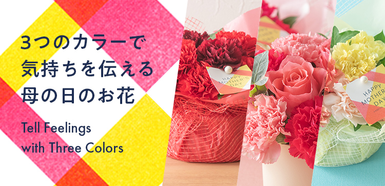 【2024】母の日の花　3つのカラーで気持ちを伝える母の日のお花特集