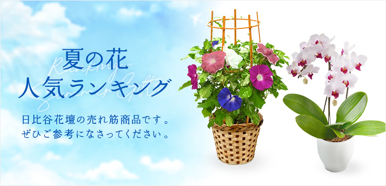 【2023】お中元・夏の花ギフト特集人気ランキング