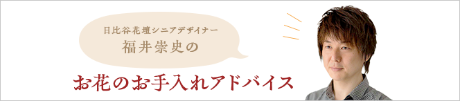 お花のお手入れアドバイス