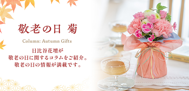 菊 敬老の日