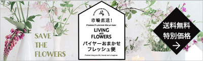 バイヤーおまかせ「フレッシュ便」