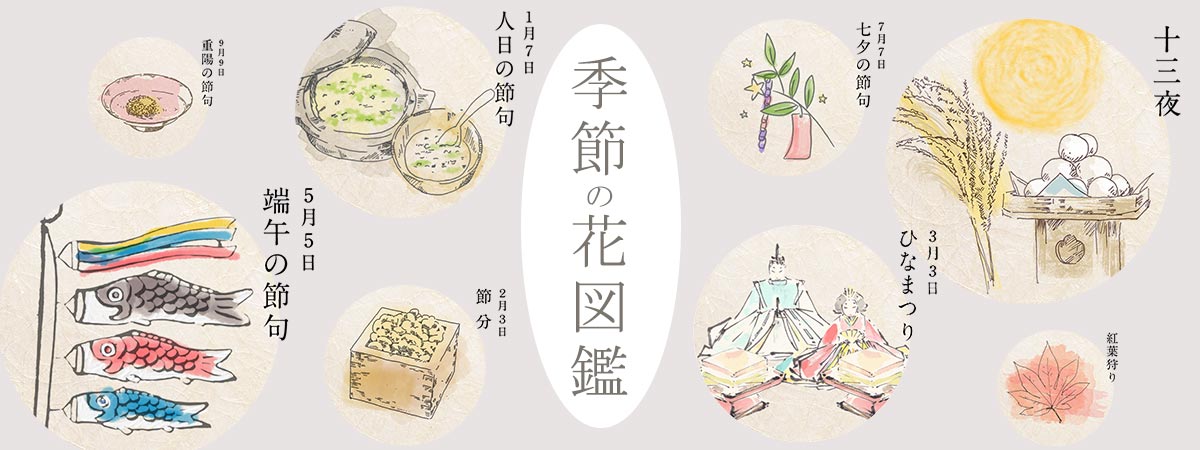 季節の花図鑑