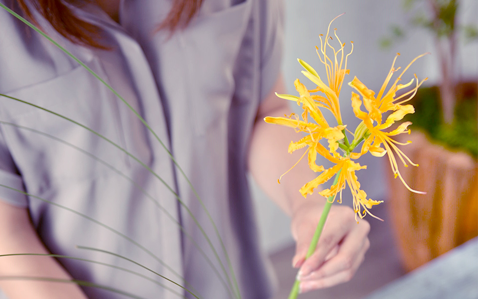 自宅で楽しむコラム「FLOWER STORY」長さを活かしスタイリッシュに飾る｜フラワーギフト通販