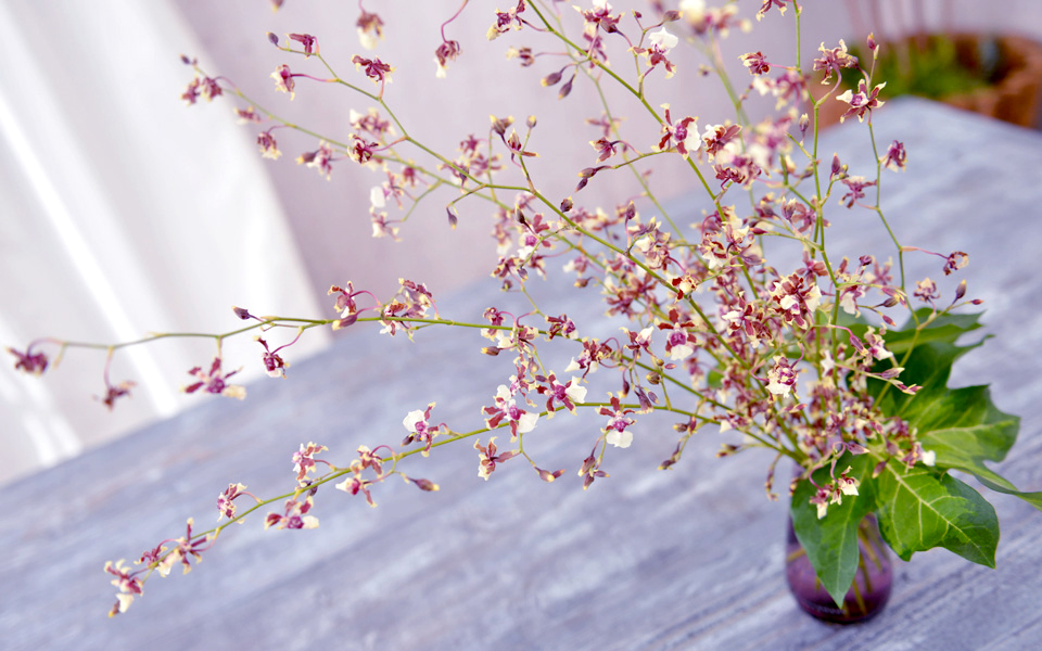 自宅で楽しむコラム「FLOWER STORY」花と同系色のフラワーベースに飾る｜フラワーギフト通販