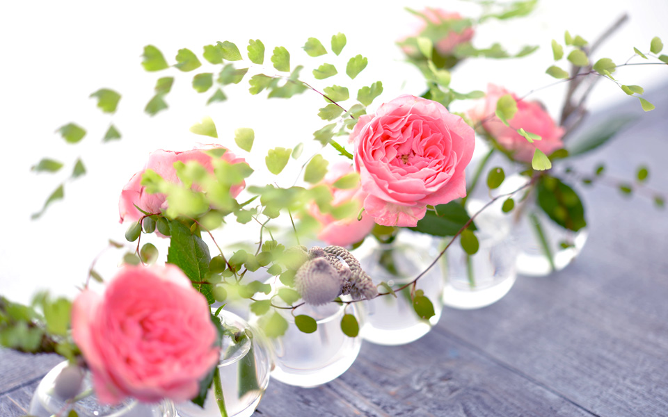 自宅で楽しむコラム「FLOWER STORY」「ピンクのバラ」の可愛らしさを活かして飾る｜フラワーギフト通販