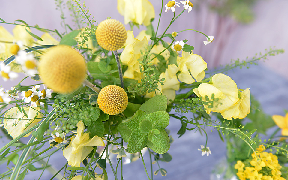 自宅で楽しむコラム「FLOWER STORY」「スイートピー」をワントーンで合わせて飾る｜フラワーギフト通販