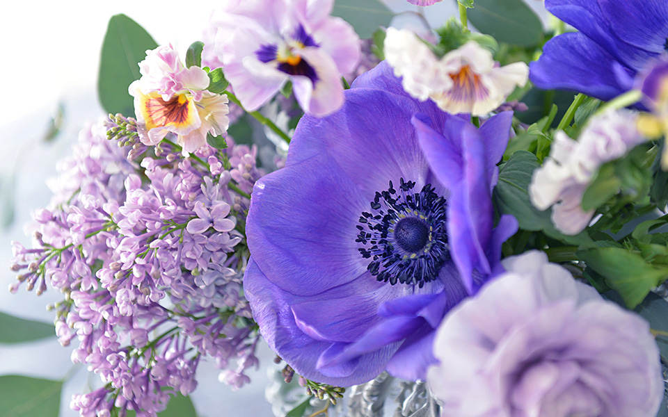 自宅で楽しむコラム「FLOWER STORY」「紫 × シルバー」でクールに飾る｜フラワーギフト通販