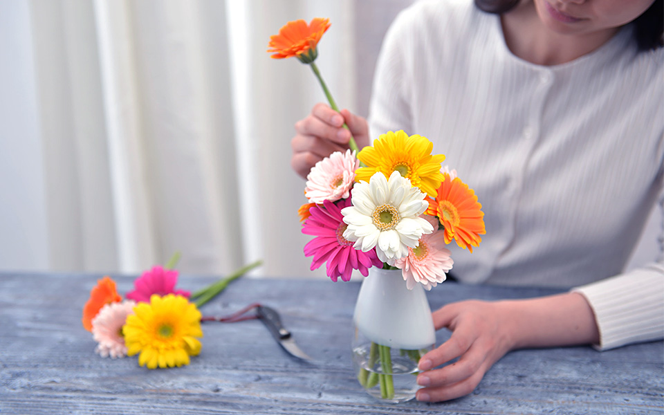 自宅で楽しむコラム「FLOWER STORY」「ガーベラ」をカラフルに飾る｜フラワーギフト通販