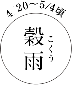 4/20～5/4頃 穀雨（こくう）