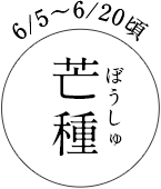 6/5～6/20頃 芒種（ぼうしゅ）