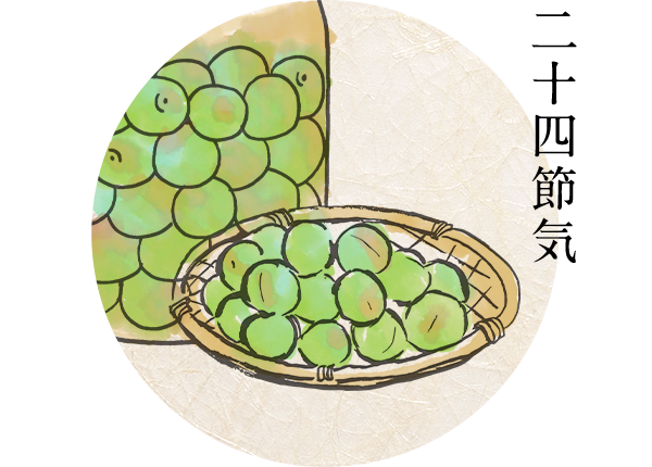 二十四節気