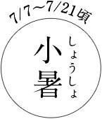 7/7～7/21頃 小暑（しょうしょ）