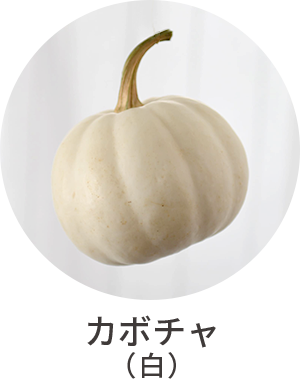 カボチャ（白）