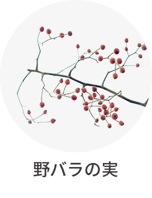 野バラの実