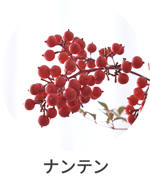 ナンテン