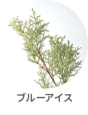 ブルーアイス