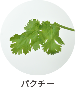 パクチー