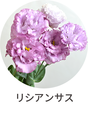 リシアンサス
