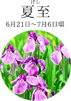 夏至(6月21日~7月6日頃)