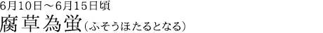腐草為蛍（ふそうほたるとなる）6月10日～6月15日頃