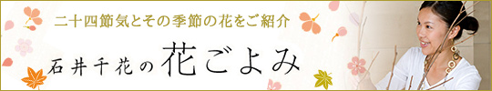 二十四節気とその季節の花をご紹介：石井千花の花ごよみ