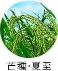 芒種・夏至