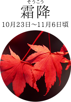 霜降(そうこう)10月23日~11月6日頃