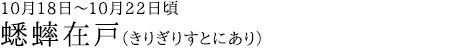 蟋蟀在戸（きりぎりすとにあり）10月18日～10月22日頃