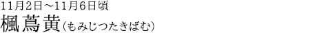 楓蔦黄（もみじつたきばむ）11月2日～11月6日頃