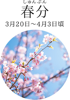 春分(3月20日~4月3日頃)