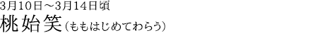 桃始笑（ももはじめてわらう）3月10日～3月14日頃