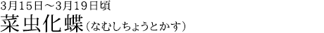 菜虫化蝶（なむしちょうとかす）3月15日～3月19日頃