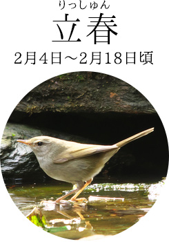 立春（2月4日～2月18日頃）
