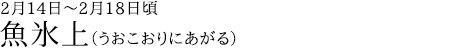 魚氷上（うおこおりにあがる）2月14日～2月18日頃