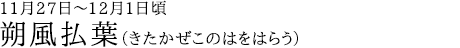 朔風払葉（きたかぜこのはをはらう）11月27日～12月1日頃