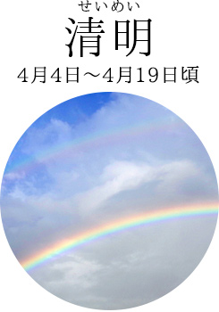 清明(4月4日~4月19日頃)