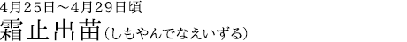 霜止出苗（しもやんでなえいずる）4月25日～4月29日頃