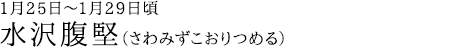 水沢腹堅（さわみずこおりつめる）1月25日～1月29日頃