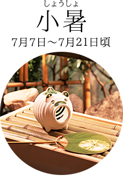 小暑(しょうしょ)7月7日~7月21日頃
