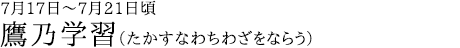 鷹乃学習（たかすなわちわざをならう）7月17日～7月21日頃