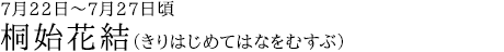 桐始花結（きりはじめてはなをむすぶ）7月22日～7月27日頃