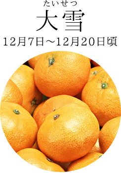 大雪(12月7日~12月20日頃)