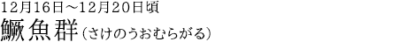 ?魚群（さけのうおむらがる）12月16日～12月20日頃