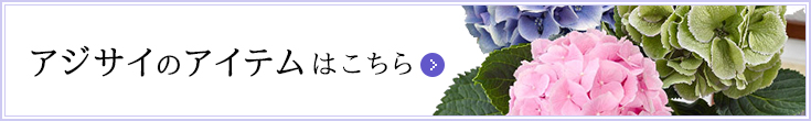 アジサイのアイテムはこちら