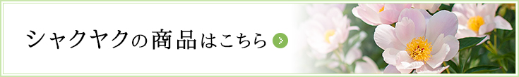 シャクヤクの商品はこちら