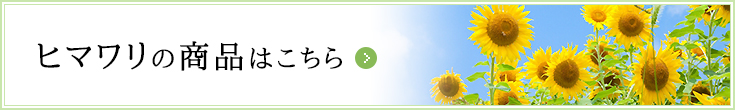 ヒマワリの商品はこちら