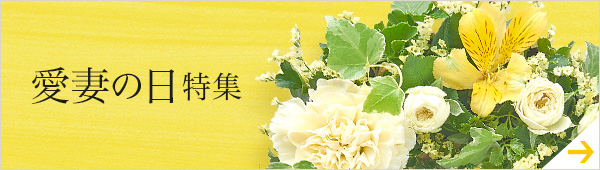 愛妻の日特集